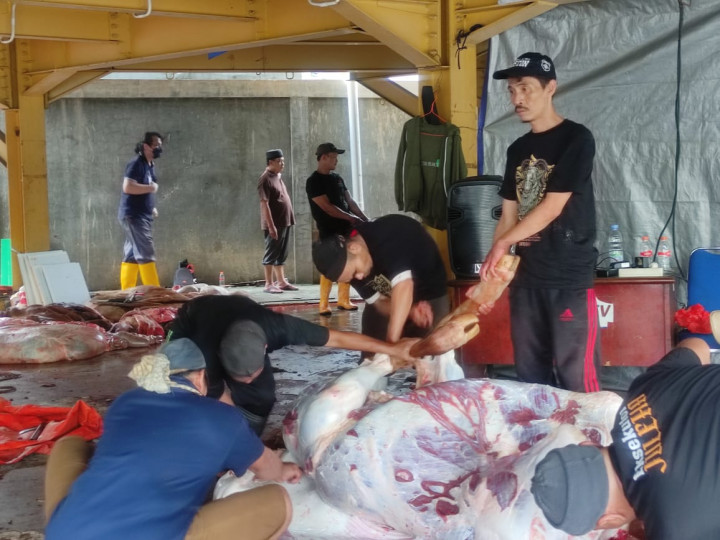 Hukum Menjual Daging Kurban Iduladha Menurut Syariat Islam