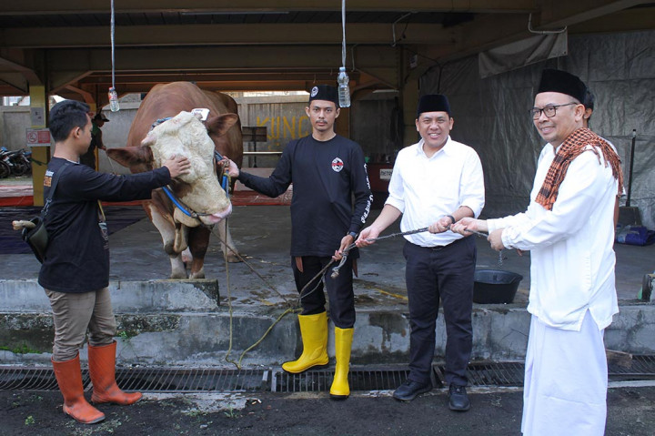 Iduladha, Media Group Sembelih 10 Sapi dan 8 Kambing