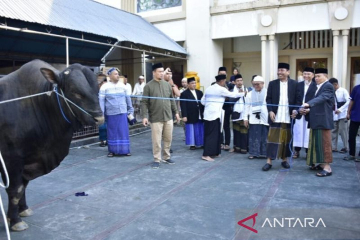 Gubernur Gorontalo Serahkan Sapi Bantuan Presiden