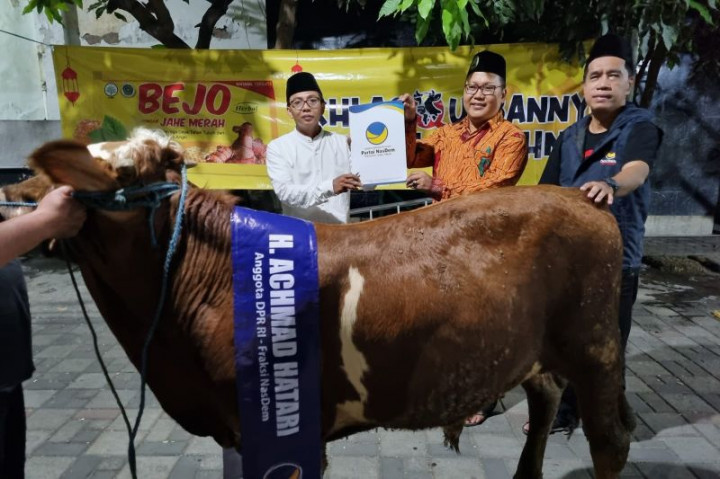 DPW NasDem Jatim Salurkan Sapi Kurban ke Masjid dan Pesantren