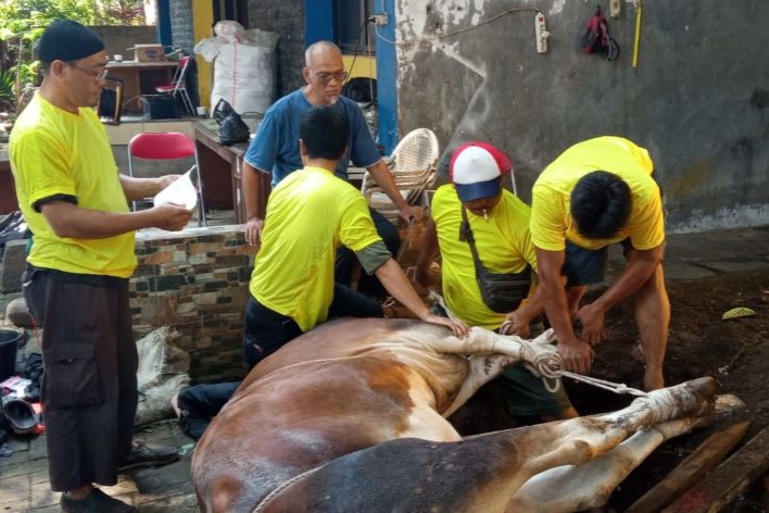 Golkar DKI Salurkan 119 Hewan Kurban ke Seluruh Wilayah Jakarta