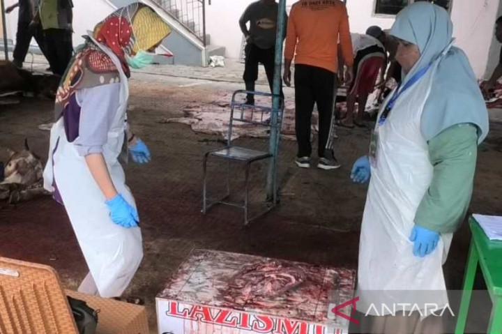 9 Sapi di Temanggung Terinfeksi Cacing Hati