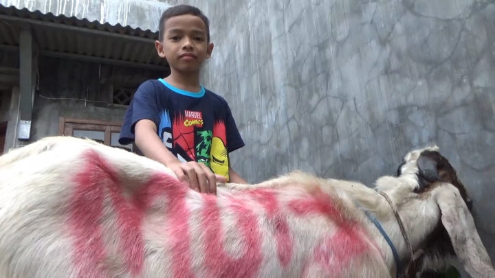 Rela Tak Jajan, Bocah Kelas 4 SD di Malang Kumpulkan Uang Demi Berkurban