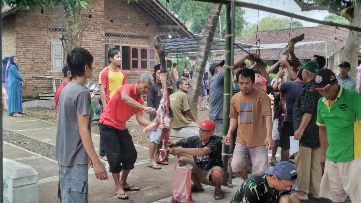 600 Lebih Hewan Kurban di Bantul Mengandung Cacing Hati