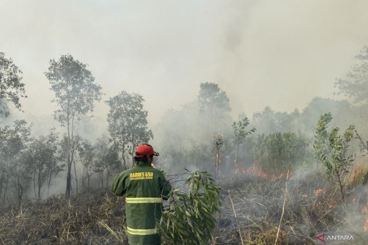 Kalsel Tunggu Giliran Modifikasi Cuaca Akibat Karhutla