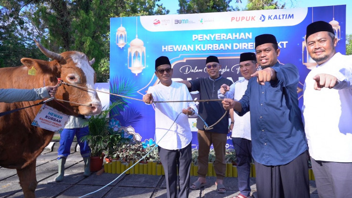 Pupuk Kaltim Salurkan 146 Hewan Kurban ke 6.351 Mustahik