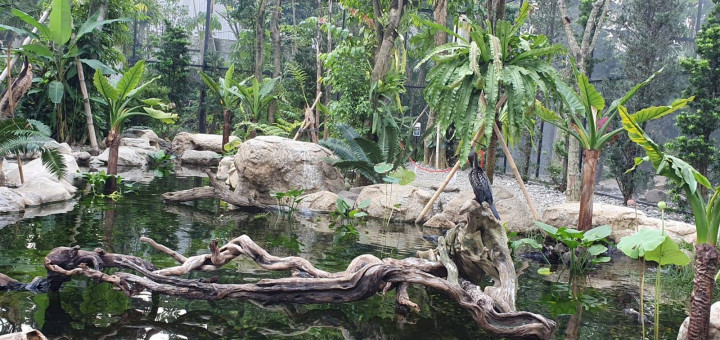 Lagi Cari Eduwisata Dekat Jakarta? Coba ke Animalium BRIN di Cibinong Aja, Yuk!