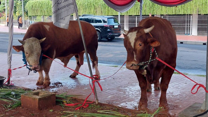 Nilai Kurban di Jabar Naik hingga Rp2,3 Triliun