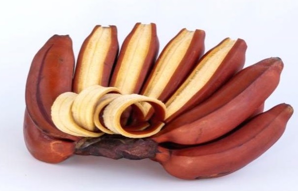 6 Manfaat Pisang Merah Bagi Kesehatan
