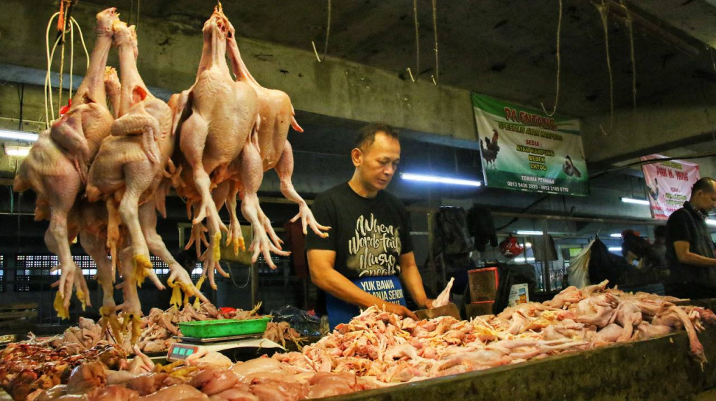 Harga Daging Ayam dan Cabai di Bandung Masih Tinggi, Ini Penyebabnya