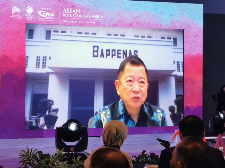 Bappenas Pastikan Ekonomi Biru Jadi Prioritas Kerja Sama Negara ASEAN