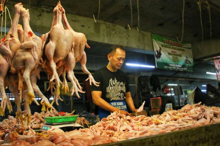 Pakan Jadi Penyebab Harga Daging Ayam di Bandung Belum Turun
