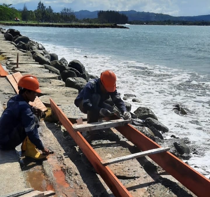 Bernilai Ekonomis, 8.517 Ton FABA PLTU Holtekamp Dimanfaatkan Masyarakat Papua