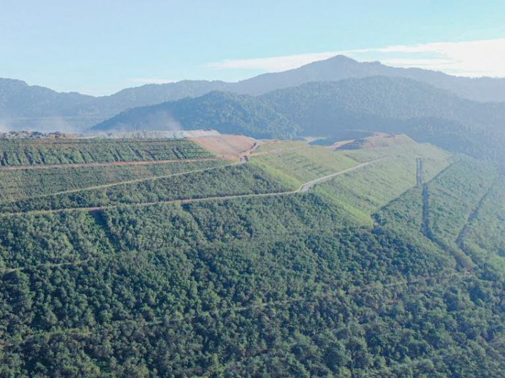 AMMAN Komitmen Hijaukan Area Bekas Tambang