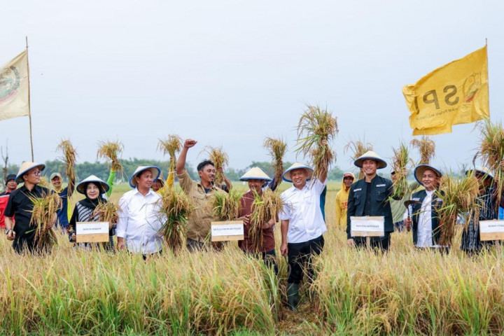 KemenKopUKM Kembangkan <i>Pilot Project</i> Koperasi Modern Petani Padi di Tuban