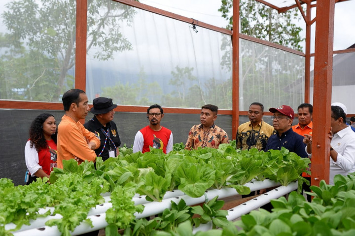 Jokowi Apresiasi Waibu Agro Edu Tourism Milik Para Pemuda Binaan BIN