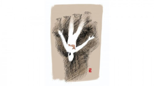 Konflik Papua Jangan Dianggap Sepele