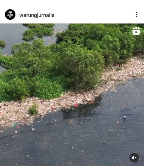 Sampah Menumpuk di Hutan Mangrove Muara Angke, Pemprov DKI: Terbawa Arus