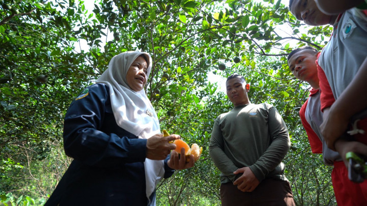 Pilih Buah Jeruk Manis dan Segar Ala Guru SMKN 2 Subang