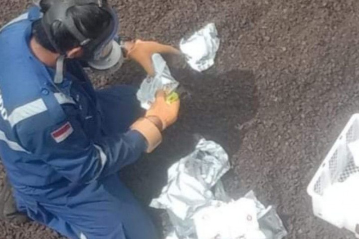 10,500 Ton Cangkang Sawit Sulbar Diekspor ke Jepang