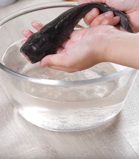 Cara mudah hilangkan lendir ikan lele sebelum diolah menjadi masakan. (Foto: Dok. Endeus TV)