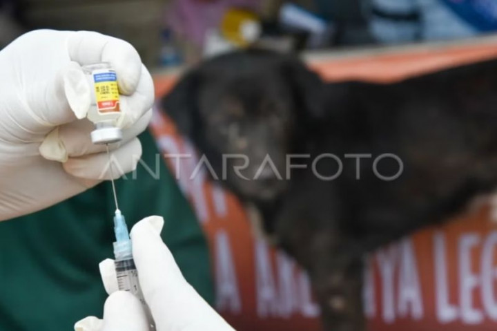 300 Vial Vaksin Anti Rabies Disebar ke Puskesmas Lampung Selatan