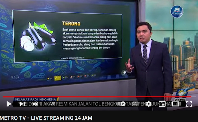Rekomendasi Komoditas Tanaman yang Cocok Ditanam Saat Musim Kemarau. Foto: Metro TV