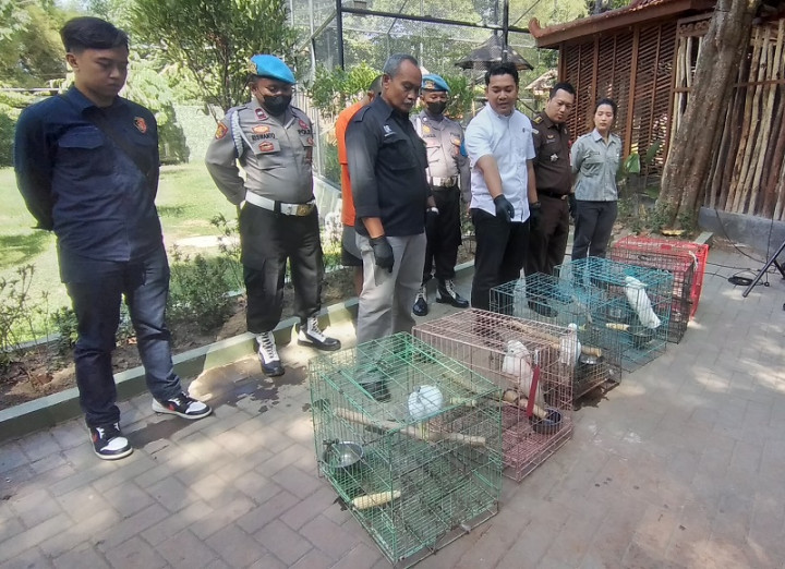 Jual Satwa Dilindungi Selama Setahun, Warga Kendal Ditangkap