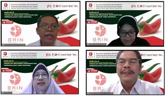Peneliti BRIN Jelaskan Teknologi Haploid untuk Tingkatkan Daya Saing Cabai Nasional