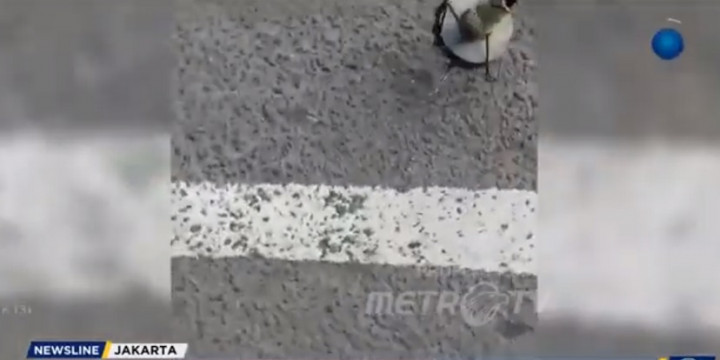 Awas! Ranjau Paku Bertebaran di Jalanan Ibu Kota