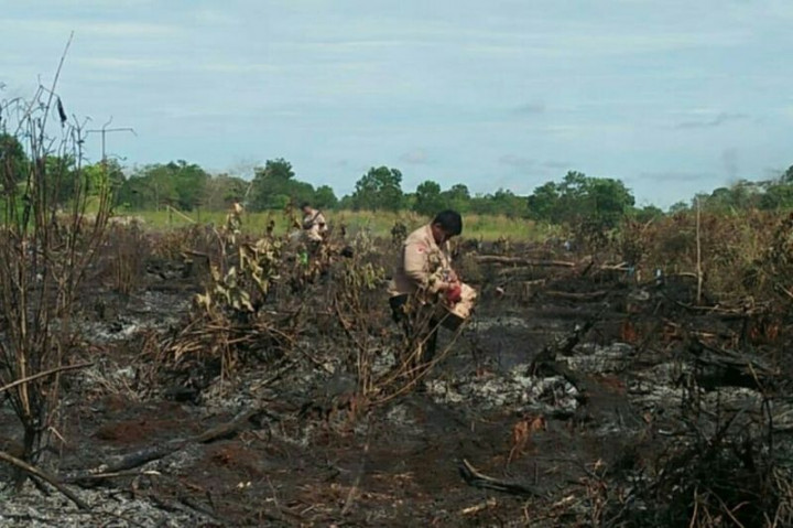 Jumlah Titik Panas di Kaltim Bertambah Capai 36 Lokasi