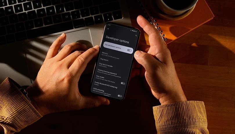 Developer Mode.