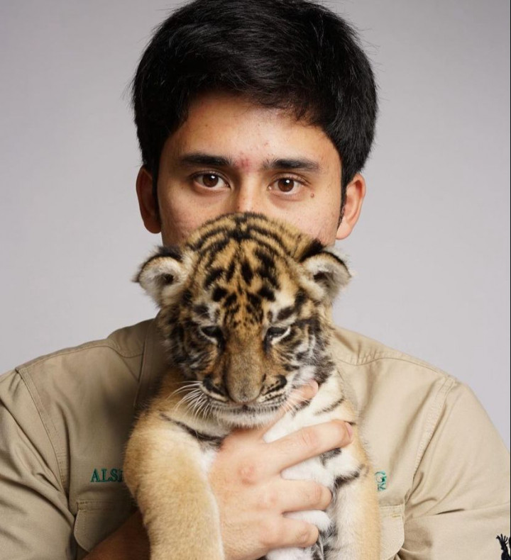 Harimau Ashlad Ahmad Mati Jadi Gunjingan, Ini Aturan dan Bahaya Pelihara Hewan Liar