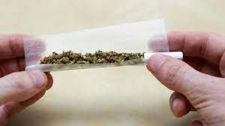 Simak Perbedaan Tembakau Sintetis dengan Ganja