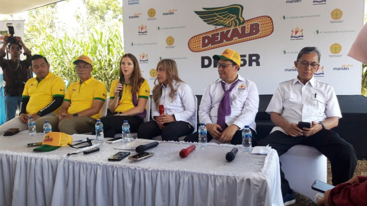 Mencapai Swasembada Pangan dari Produksi Jagung Bioteknologi