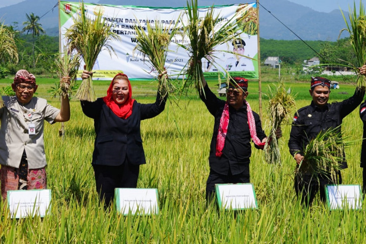 Hadapi El Nino, Menteri Pertanian Panen Padi Organik di Semarang