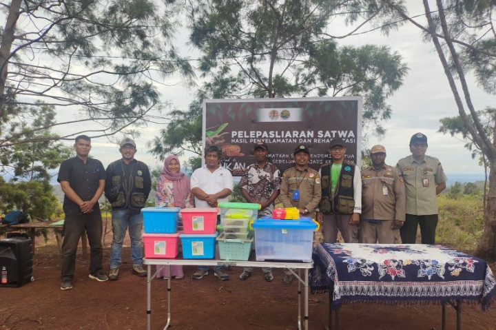 114 Satwa Endemik Papua Dilepas di Pengunungan Cycloop