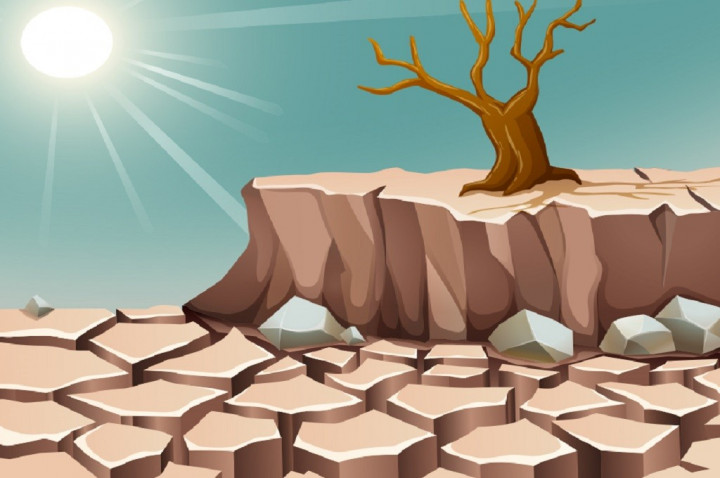 63% Wilayah Indonesia Sudah Masuk Musim Kemarau