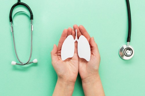 Ilustrasi paru-paru. DOK Getty Images