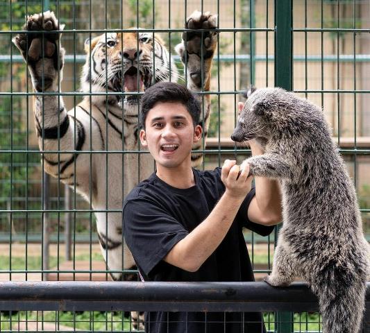 Izin Penangkaran Harimau Benggala Alshad Ahmad Akan Dievaluasi