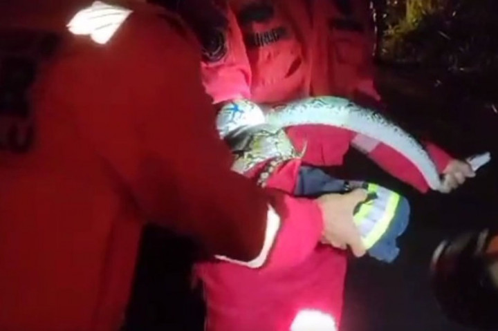 Berkeliaran Dilingkungan Perumahan, Ular Piton 3 Meter Ditangkap Damkar