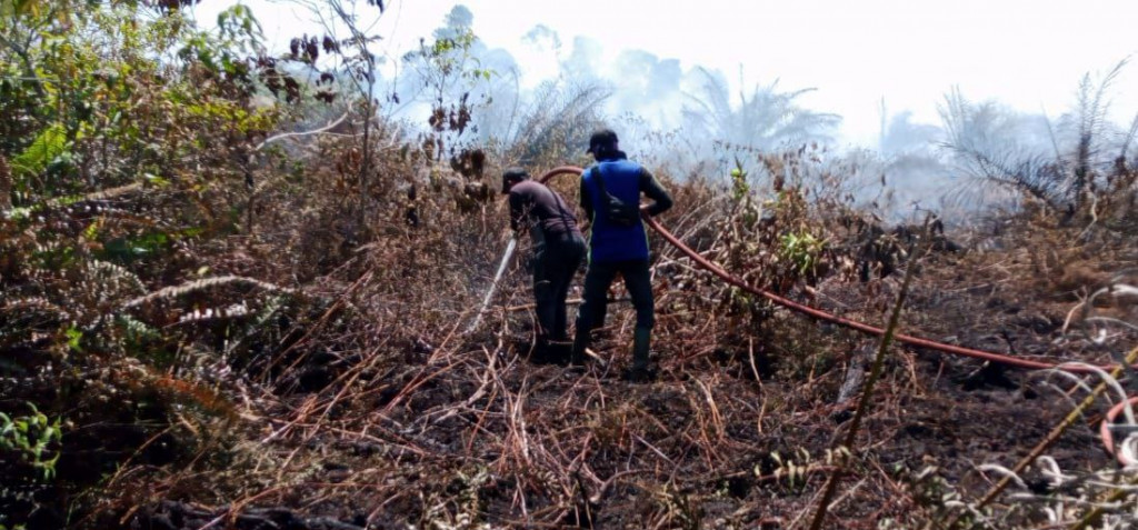 Kebakaran lahan melanda Kabupaten Aceh Barat, Provinsi Aceh. Foto: Dokumentasi BPBA