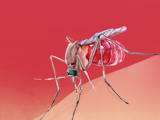 Ilustrasi/ Medcom.id