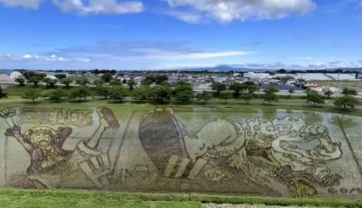 Keren! Desa di Jepang Ini Sulap Sawah Jadi Lukisan Luffy Gear 5