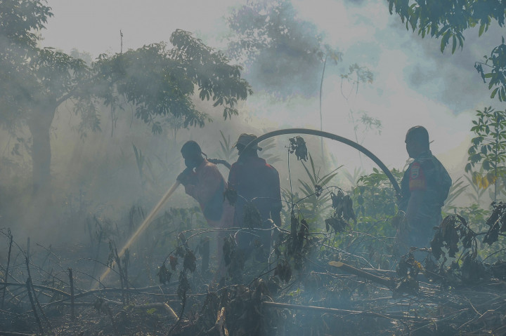 Potret Petugas Gabungan Padamkan Karhutla di Dumai
