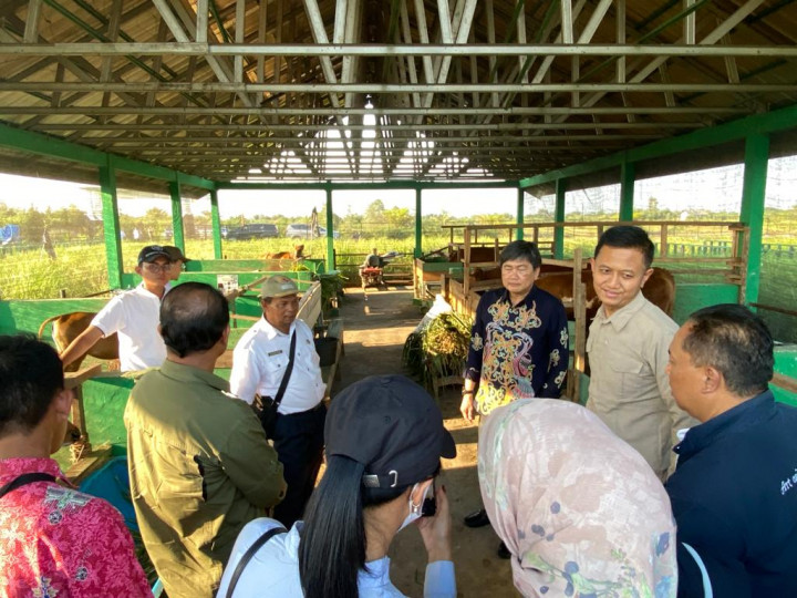 BUMDes Gerakkan Ekonomi via Pengelolaan UMKM Desa