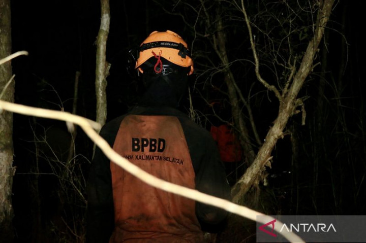 Luas Karhutla di Kalsel Capai Seribu Hektare