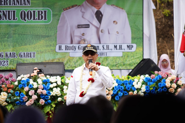 Wamentan Ingin JUT Tingkatkan Hasil Pertanian Garut Berorientasi Ekspor