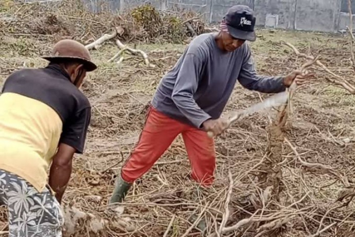 3 Kabupaten di Lampung Berisiko Tinggi Kekeringan