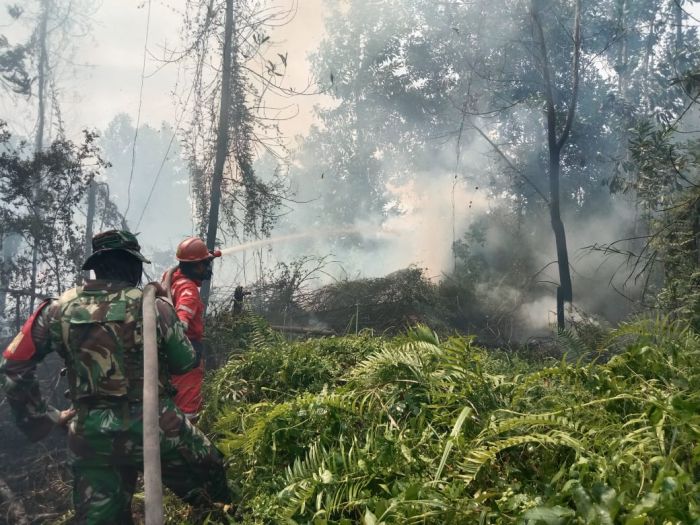 Kasus Karhutla di Riau, Polisi Tetapkan 25 Tersangka